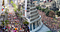 80,000 people on Auckland’s Queen Street and 40,000 people gathered at the Beehive