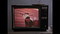 I miss TVs you could set things on