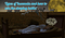 Types-of-insomnia-1-1080x628.png