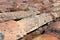 roof shingles