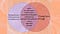 Venn diagram illustrating shared symptoms of Rejection Sensitive Dysphoria and Complex PTSD