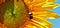 Image for post