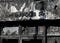 A Minneapolis police station, charred and burned. The letters “Minneapolis pol” are barely distinguishable
