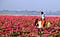 kerala tour packages