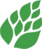 FractalPlatform