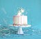 White frosting Birthday cake Design