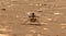 Ingenuity on the surface of Mars, imaged by Perseverance’s Mastcam-Z camera on April 7, 2021.