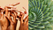 Image for post
