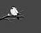 An illustration of a black and white bird wearing a jacket and holding a cup of hot chocolate.