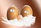 Picture of eggs looking nervously at each other