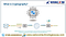 Cloud Cryptography-Skywebcom