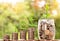 What Is Frugal Living? — Financial Organising