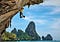 rock climber wearing yellow shirt and dangling from cliff