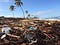 trash littering a beautiful sandy beach