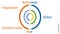 Imagination to Transformation via Autonoesis, Action and Awe