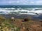 muriwai beach new zealand auckland rip currents