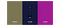 Locking colors within the Coolors interface