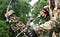 Best Compound Bow for under 300 USD