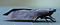 Image for post
