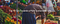 Image for post