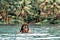 How to Build a Natural Swimming Pool Step by Step