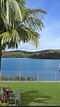 Home at the Bay. Green grass and a palm tree overlooking the peaceful blue water bay.