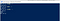 Windows PowerShell that checks for the installed version of VScode, npm and nodejs.