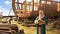 Noah’s-Ark