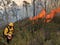 Controlled wildfire with fireman