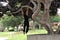 men workout with a tree