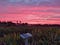 The Next Decade of Indian Agritech 8