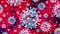 coronavirus.