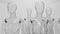 transparent manequins