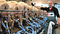 Plymouth Brethren Christian Church — Universal Business Team