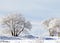 Landscape photo of trees and ground covered in snow
