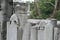 Ebubekir Sifil, ibn Salul und das Totengebet im Islam — Auf dem Bild sind Grabsteine auf dem Friedhof der Süleymaniye Moschee