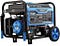 Dual fuel generator