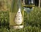 Oro Spumante sparkling wine from Tenuta Cavalier Pepe, Campania