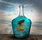 A woman is trapped inside a water-filled bottle. The beach and seagulls are in the background.