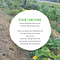 Regenerative Foundations: Ethics & Principles Of Permaculture | By ...