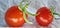 Two tomatoes