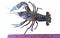 a crayfish next to a ruler