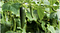 Image for post