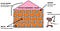 Image of a self-awareness house