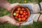 A bowl of tomatoes being passed from one pair of hands to another