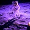 Apollo 11 astronaut Buzz Aldrin walking on the surface of the moon. Photo taken on 20 July 1969.