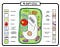 animal cell and plant cell