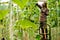 The Next Decade of Indian Agritech 6