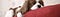 Image for post