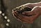 A pair of dirty hands cupping a mound of soil against a bokeh brown background